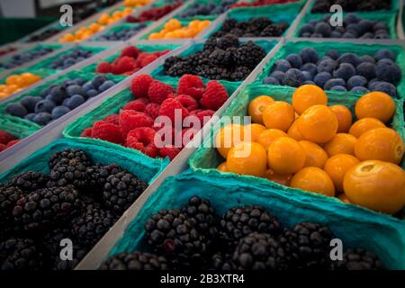 Frutti Di Bosco Assortiti (Frutti Di Bosco, Mirtilli, Mirtilli Neri, Lamponi) Foto Stock