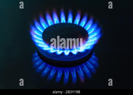 Il gas è in fiamme, il bruciatore a gas-stufa, il piano cottura in cucina, primo piano. Il concetto di problemi con il gas naturale, l'aumento dei prezzi del gas. Foto Stock