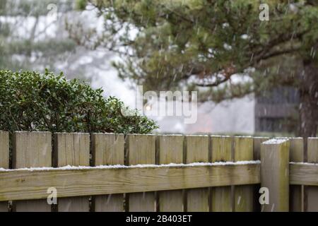 Cortile scena guardando sopra la recinzione di legno per vedere gli arbusti innevati e pini. Foto Stock