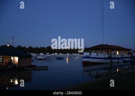 Molte barche nella Marina di Belgrado sul Danubio Foto Stock