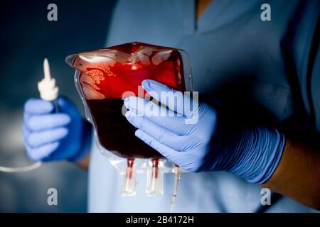 L'infermiere prepara l'unità sangue del donatore IV per trasfusione con sfondo scuro. Foto Stock