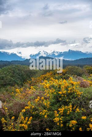 Vista Delle Alpi Della Nuova Zelanda, Ka Tiritiri O Te Moana, Con Fox Glacier, Gillespies Beach, Westland National Park, West Coast, South Island, New Foto Stock