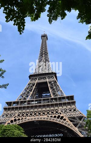 Immagine verticale della Torre Eiffel dal basso, con alberi in prima linea Foto Stock