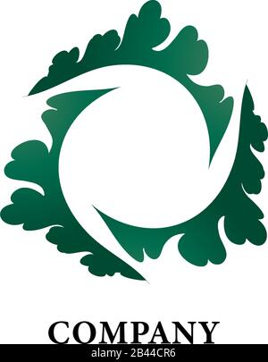 Illustrazione del vortice decorativo. Modello astratto di disegno della foglia. Logo floreale isolato su sfondo bianco Illustrazione Vettoriale