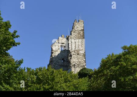 Burg Drachenfels, Koenigswinter, Nordrhein-Westfalen, Deutschland / Königswinter Foto Stock