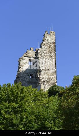 Burg Drachenfels, Koenigswinter, Nordrhein-Westfalen, Deutschland / Königswinter Foto Stock