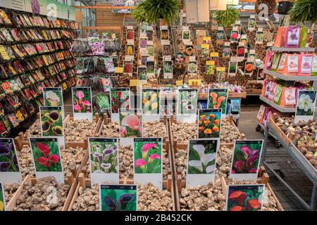 Un Negozio Di Mercato Dei Fiori Amsterdam Paesi Bassi 2020 Foto Stock