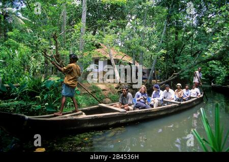 Turistico in barca crociera, backwater, cochin (kochi), kerala, India, Asia Foto Stock