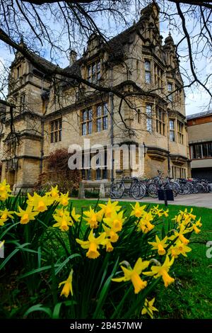 Trinity College, Oxford a Springtime con Daffodils. Inghilterra, Regno Unito Foto Stock