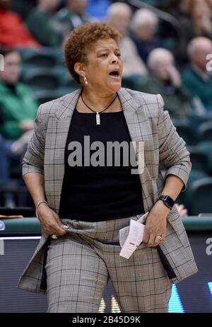 Williamsburg, Virginia, Stati Uniti. 5th Mar, 2020. 20200305 - il capo allenatore di Towson DIANE RICHARDSON dirige i suoi giocatori contro William e Mary nella prima metà di Kaplan Arena a Williamsburg, Va. Credit: Chuck Myers/ZUMA Wire/Alamy Live News Foto Stock