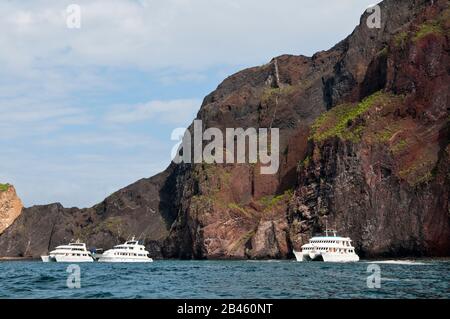 Crociera in barca a Vincente Roca Point su Isla Isabela (isola isabela), Isole Galapagos, Ecuador. Foto Stock