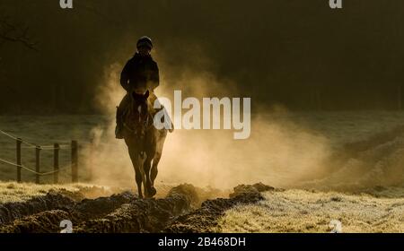 I cavalli di Sam Drinkwater sulle galoppe alle Granary Stables, Upper Strensham. Foto Stock