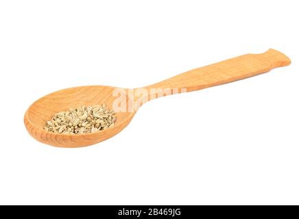 Spice finocchio secco in un grande cucchiaio di legno su sfondo bianco Foto Stock