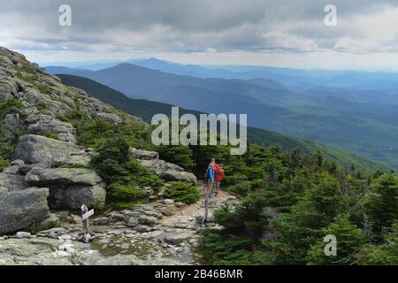 Wanderweg, Mount Mansfield, Vermont, Stati Uniti Foto Stock