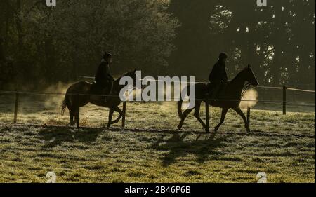 I cavalli di Sam Drinkwater sulle galoppe alle Granary Stables, Upper Strensham. Foto Stock