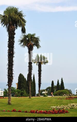 Yalta, Ucraina - 20.07.2011: Prato vicino al Palazzo Livadia a Yalta, Livadiya, Crimea. Livadia Palace è stato un rifugio estivo dell'ultimo zar russo, Ni Foto Stock