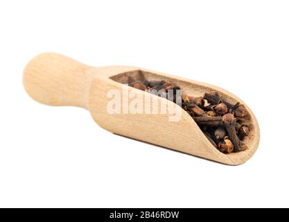 Chiodi di garofano a secco in un cucchiaio di legno su sfondo bianco Foto Stock