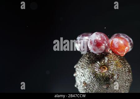 Grappoli di uva in acqua ghiacciata con coloratissimi flash fotografati in studio Foto Stock