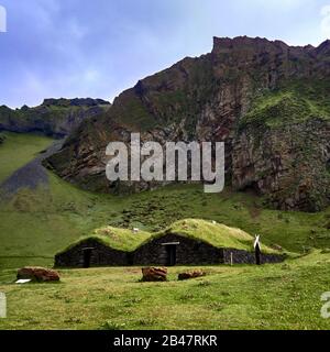 Europa, Islanda, nell'arcipelago di Vestmann, l'isola di Heimaey, a Herjolfsdalur a Herjolfsdalur una fattoria dall'inizio del 9 ° secolo, storica casa coperta di erba, Patrimonio dell'Umanità dell'UNESCO Foto Stock
