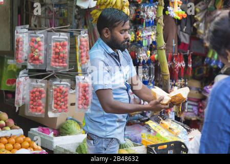 Nuwara Eliya, Sri Lanka: 20/03/2019: Negozio di frutta e verdura tradizionale, uomo che prepara cocco re. Foto Stock