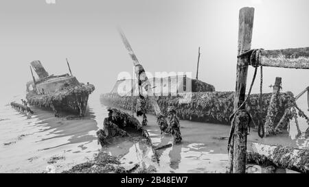 Relitti in branchino, coperti di alghe, si stese in acque poco profonde in una mattina fredda e nebbiosa a Southampton UK Foto Stock