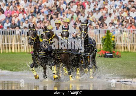 George Bowman (GBR), Giochi equestri mondiali, Aachen, 31 agosto 2006, la Maratona di guida Foto Stock