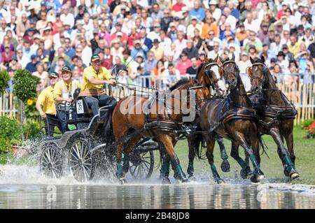 Ysbrand Chardon (NED), Giochi equestri mondiali, Aachen, 31 agosto 2006, la Maratona di guida Foto Stock