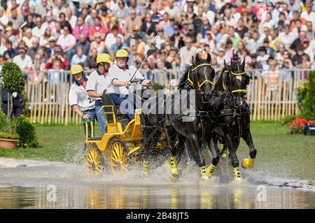 George Bowman (GBR), Giochi equestri mondiali, Aachen, 31 agosto 2006, la Maratona di guida Foto Stock