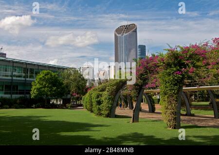 Vista su 1 torre di Williams Street e la struttura Grand Arbour coperta da fiori Bouganvillea in fiore nella zona di South Bank a Brisbane. La struttura Foto Stock