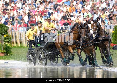 Ysbrand Chardon (NED), Giochi equestri mondiali, Aachen, 31 agosto 2006, la Maratona di guida Foto Stock