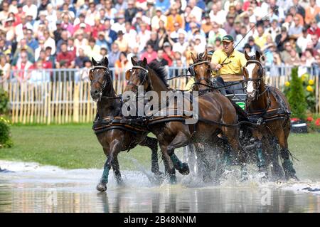 Ysbrand Chardon (NED), Giochi equestri mondiali, Aachen, 31 agosto 2006, la Maratona di guida Foto Stock