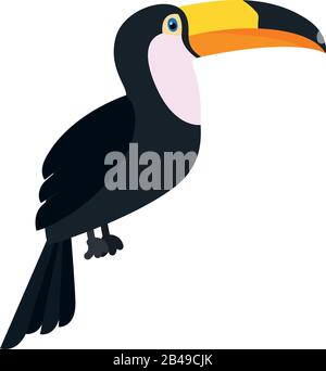 Illustrazione di un uccello tropicale toucan, con vettore sfondo bianco Illustrazione Vettoriale