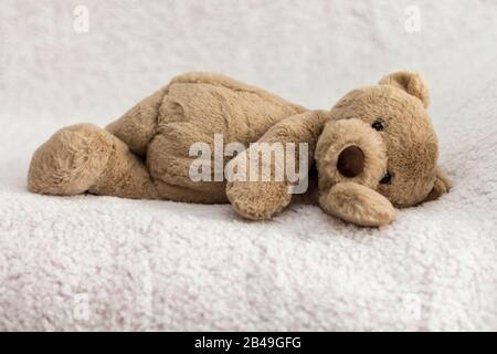 Orsacchiotto usato per le informazioni nella configurazione del set fotografico del bambino per l'illuminazione che posano le regolazioni della macchina fotografica e dello sfondo prima dell'introduzione del bambino Foto Stock