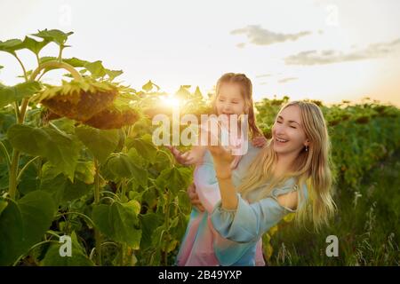 Allegra giovane madre tiene in braccio la sua affascinante figlia e le mostra un girasole mentre cammina attraverso il campo in una soleggiata serata estiva. Conc Foto Stock