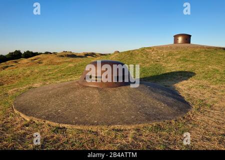 Francia, Mosa, Douaumont, Fort Douaumont, centro di difesa intorno Verdun, torretta mitragliatrice e il suo osservatorio sullo sfondo Foto Stock