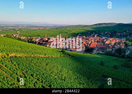 Francia, Alto Reno, la strada del vino Alsazia, Riquewihr, labelized i Villaggi Più Belli di Francia, e i suoi vigneti (vista aerea) Foto Stock