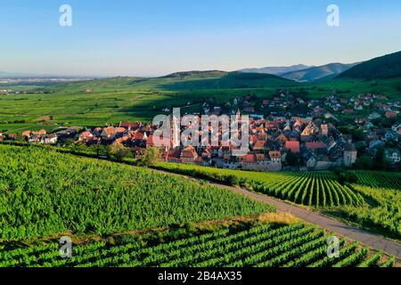 Francia, Alto Reno, la strada del vino Alsazia, Riquewihr, labelized i Villaggi Più Belli di Francia, e i suoi vigneti (vista aerea) Foto Stock