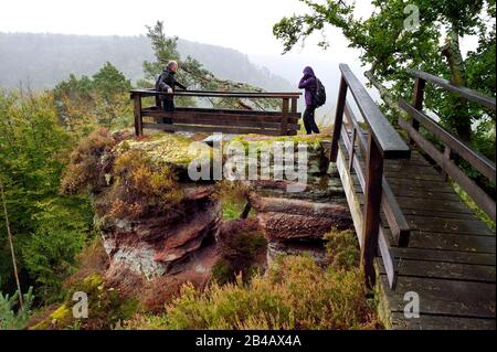 Francia, Bas-Rhin, Parc Regional des Vosges du nord (Parco Naturale Regionale dei Vosgi del Nord), la Petite Pierre, escursionisti sul sentiero Trois Roches al Rocher du Saut du Chien (Rocca del cane Jump) Foto Stock