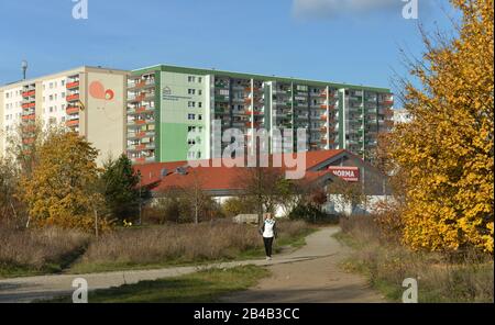 Plattenbauten, Bruno-Apitz-Strasse, Buch, Berlino, Deutschland Foto Stock