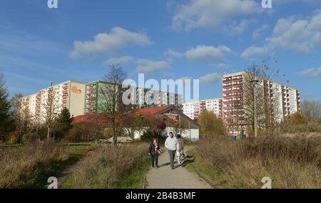 Plattenbauten, Bruno-Apitz-Strasse, Buch, Berlino, Deutschland Foto Stock