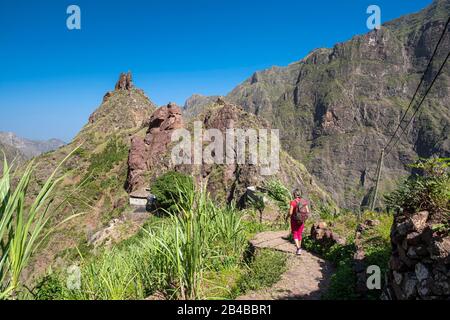 Capo Verde, isola di Santo Antao, escursione nella verde valle di Ribeira da Torre Foto Stock