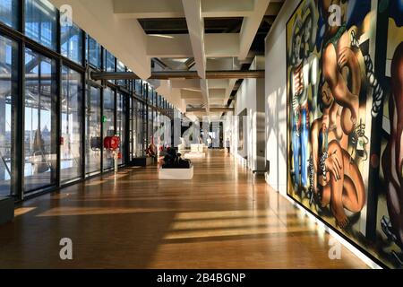 Francia, Parigi, quartiere Les Halles, Centro Pompidou o Beaubourg, architetti Renzo piano, Richard Rogers e Gianfranco Franchini, Museo Nazionale d'Arte Moderna (MNAM), pittura di Fernand Léger, Composizione con i due pappagalli Foto Stock