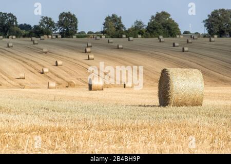 Francia, Indre et Loire, Verneuil-sur-Indre, openfield, campo Raccolto con balle di paglia in estate Foto Stock