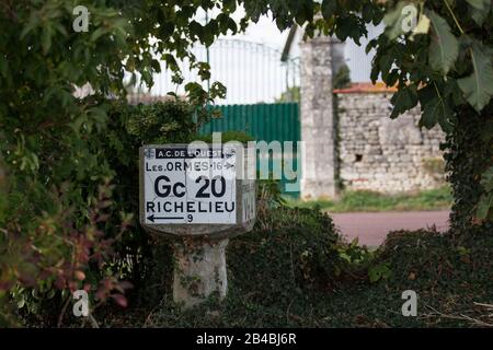 Francia, Indre et Loire, braslou, Michelin testa spessa Foto Stock