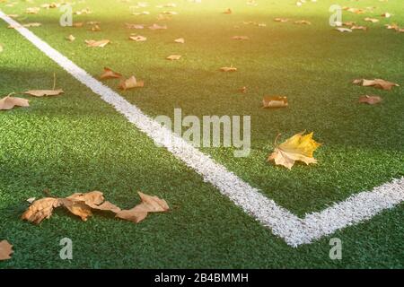 Tappeto erboso artificiale di un campo da calcio, linea d'indicatore d'angolo. Con foglie d'autunno dorato Foto Stock