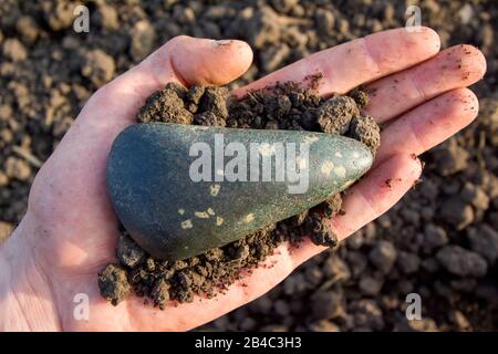 Il neolitico ascia in pietra (eclogite e granati) Foto Stock