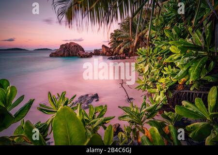 Bellissimo tramonto romantico tramonto cielo rosso su Seychelles paradiso isola. Rocce di granito, palme e spiaggia di sabbia bianca. Foto Stock