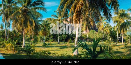 Il Palm Grove panorama scenario in piantagione di cocco contro scogli di granito e cielo blu in L Union Station Wagon su La Digue Island, Seychelles. Panoramica. Foto Stock
