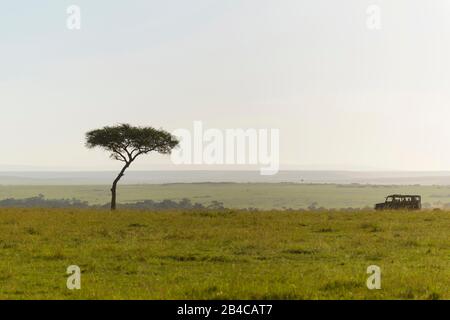 Savana paesaggio con safari veicolo, Masai Mara riserva nazionale, Kenya, Africa Foto Stock