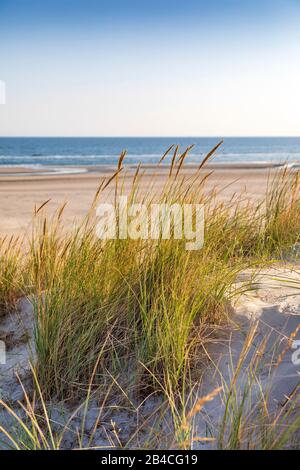 Spiaggia di sabbia con dune ad Ameland Foto Stock